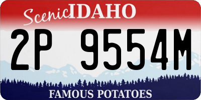 ID license plate 2P9554M