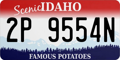 ID license plate 2P9554N