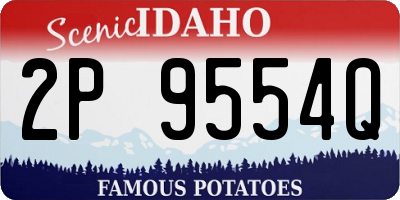 ID license plate 2P9554Q