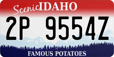 ID license plate 2P9554Z