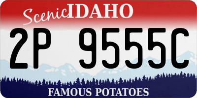 ID license plate 2P9555C