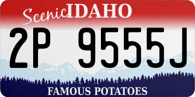 ID license plate 2P9555J