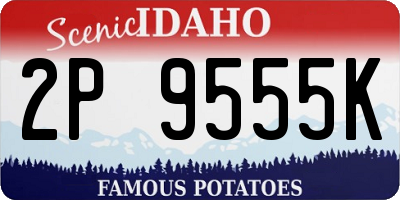ID license plate 2P9555K