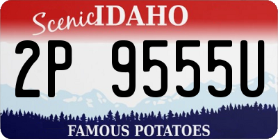 ID license plate 2P9555U