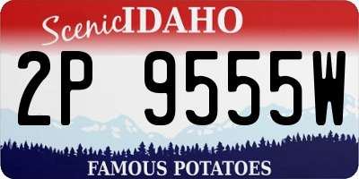 ID license plate 2P9555W