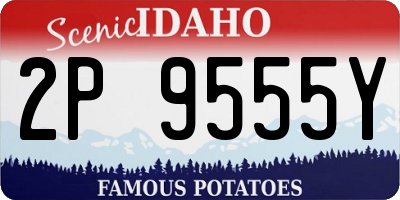 ID license plate 2P9555Y