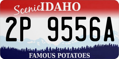 ID license plate 2P9556A