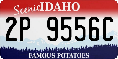 ID license plate 2P9556C