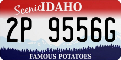 ID license plate 2P9556G