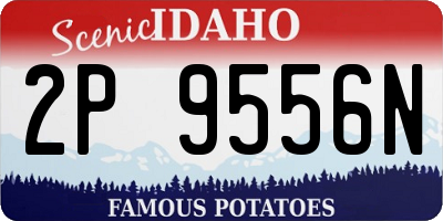 ID license plate 2P9556N