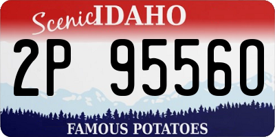 ID license plate 2P9556O
