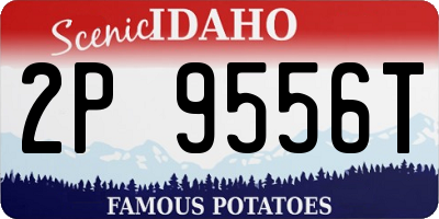 ID license plate 2P9556T