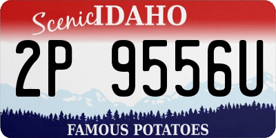 ID license plate 2P9556U