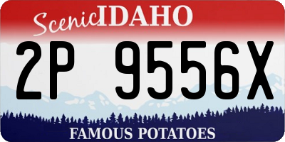 ID license plate 2P9556X