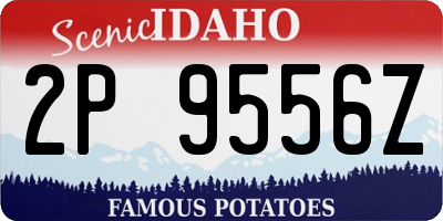 ID license plate 2P9556Z