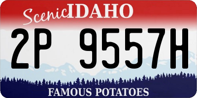 ID license plate 2P9557H