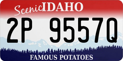 ID license plate 2P9557Q