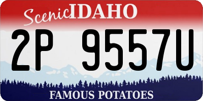 ID license plate 2P9557U