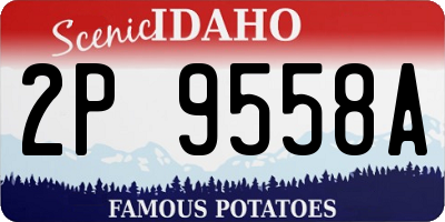 ID license plate 2P9558A