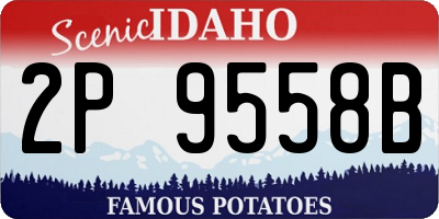 ID license plate 2P9558B