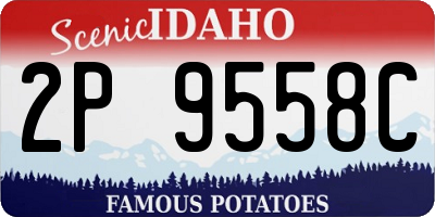 ID license plate 2P9558C