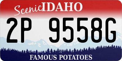 ID license plate 2P9558G