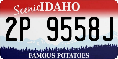 ID license plate 2P9558J
