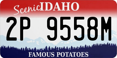 ID license plate 2P9558M