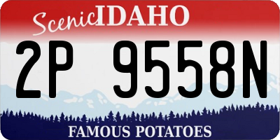 ID license plate 2P9558N