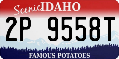 ID license plate 2P9558T