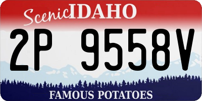 ID license plate 2P9558V