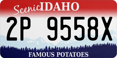 ID license plate 2P9558X