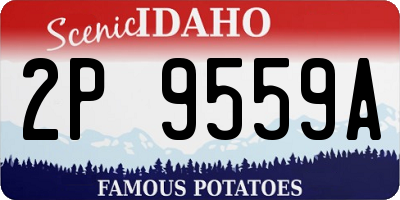 ID license plate 2P9559A