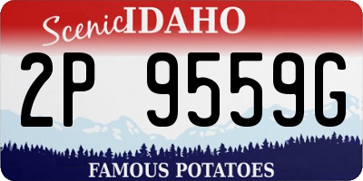 ID license plate 2P9559G
