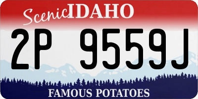 ID license plate 2P9559J