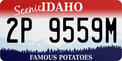 ID license plate 2P9559M