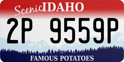 ID license plate 2P9559P