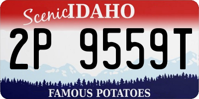 ID license plate 2P9559T