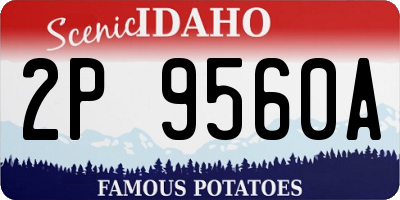 ID license plate 2P9560A