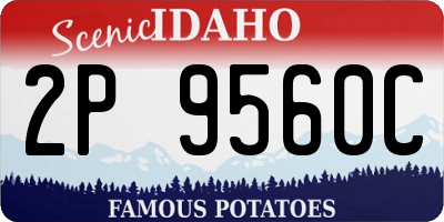 ID license plate 2P9560C
