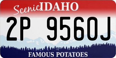 ID license plate 2P9560J