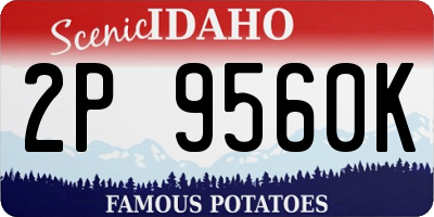 ID license plate 2P9560K