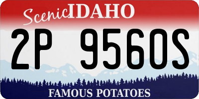 ID license plate 2P9560S