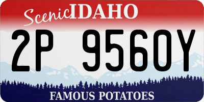 ID license plate 2P9560Y