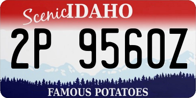 ID license plate 2P9560Z
