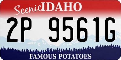 ID license plate 2P9561G