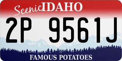ID license plate 2P9561J