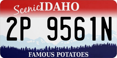 ID license plate 2P9561N