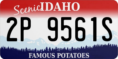 ID license plate 2P9561S