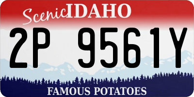 ID license plate 2P9561Y